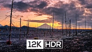 Real 12K HDR 120fps Dolby Vision | 8K VISION