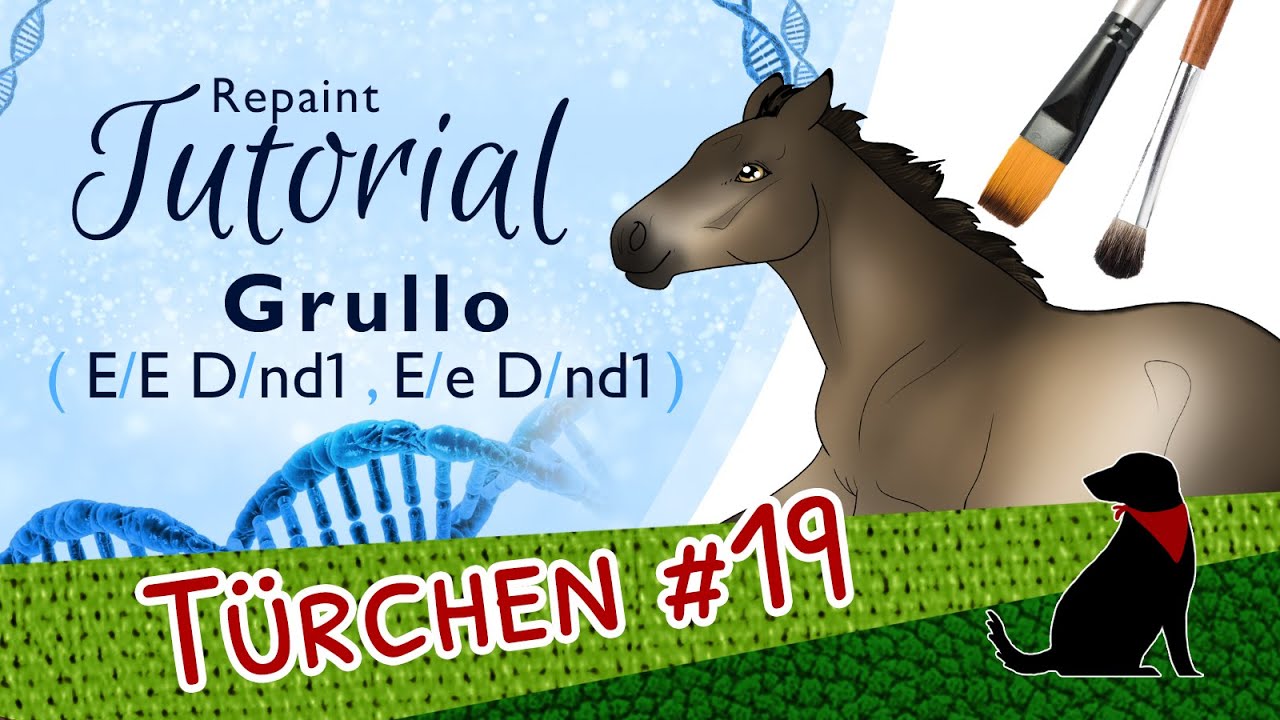 GRULLO REPAINT TUTORIAL (EEDD/EeDnd1)- Pferdegenetik-Repaint-Kurs - Teil 10