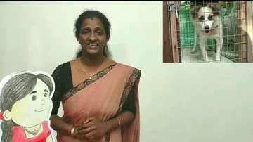 Std 1 Maths Unit 1 Class 03  White Board ASD