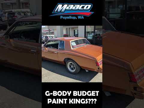 Maaco 2024: The Year Of Unexpected Car Colors