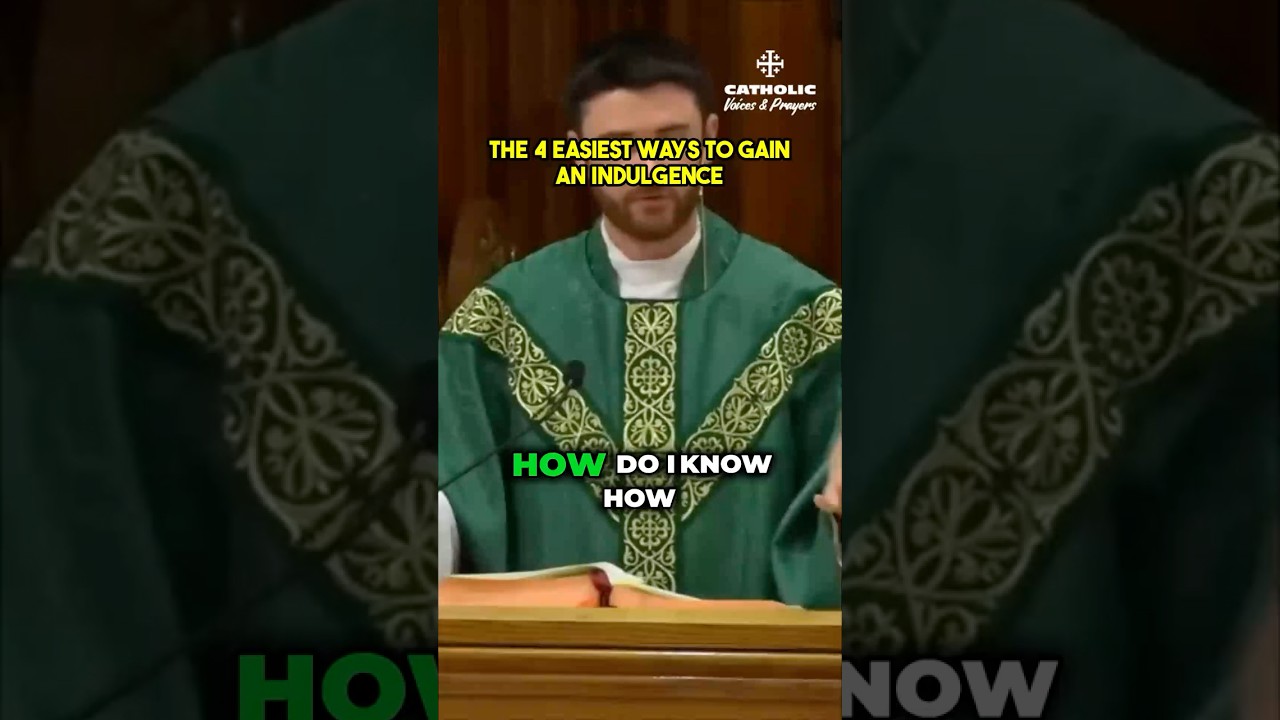 Most Catholics Don't Know This About Indulgences | Fr. Patrick Lynch, MIC