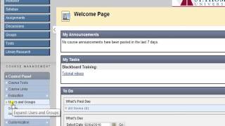 View Class Roster / Blackboard Tutorial