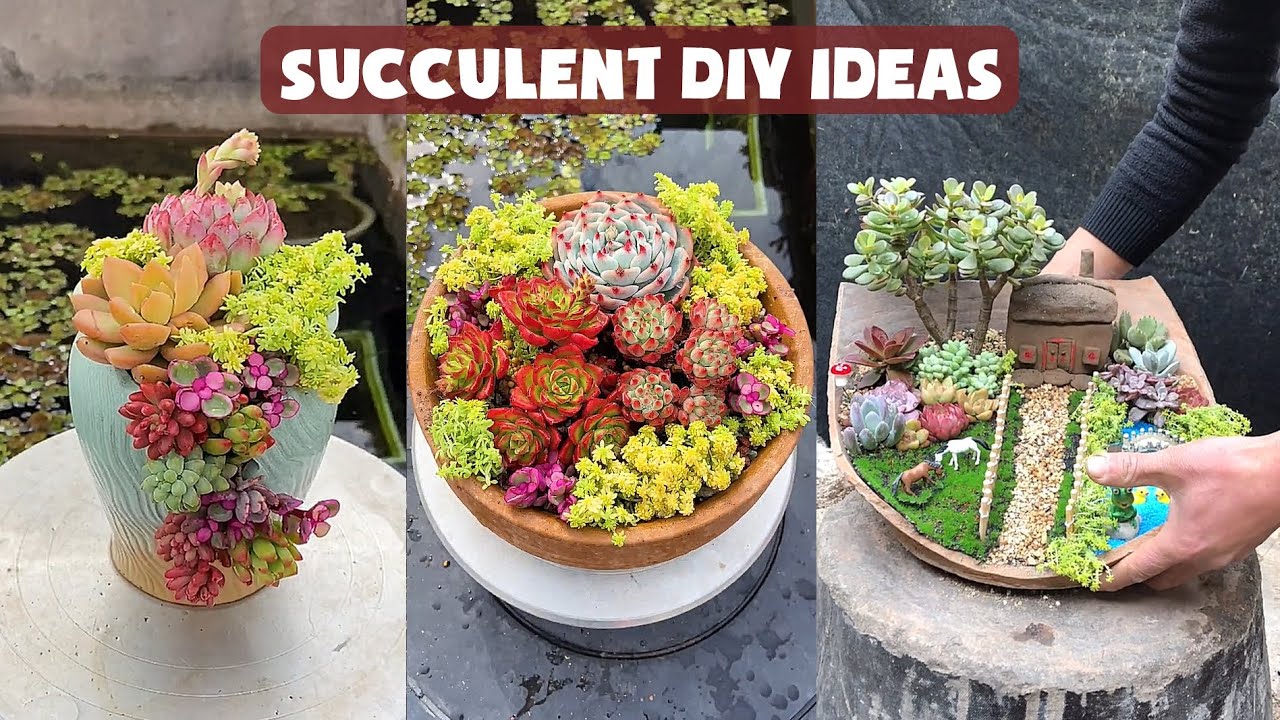 13 сочных идей DIY