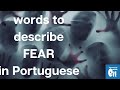 Five Words to Describe Fear in Portuguese | Portuguese with Eli (PT-SUBS)