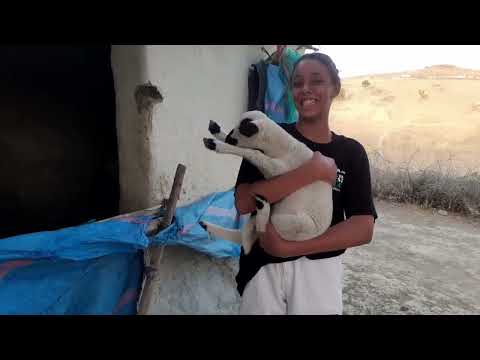 مشينا دينا رشيد و كلنا أمل طمعا فالعلاج و رجعنا بخيبة أمل شوفو الراجل أش قال على رشيد