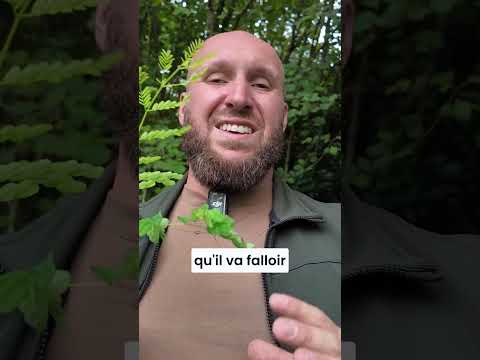 Vidéo YouTube