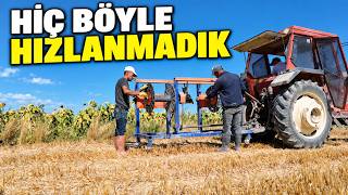 Bir günde 45 dönüm damlama topladık | Kendi rekorumuzu kırdık