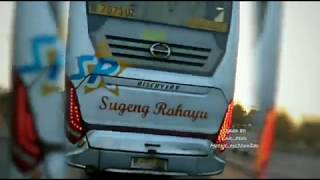 AKSI BUS SUGENG RAHAYU VS HARAPAN JAYA DUEL MENEGANGKAN