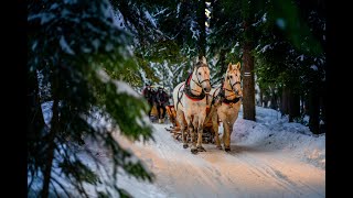 Kulig Zakopane z pochodniami, kapelą góralską, menu bez limitu - oferta 2023/2024 od OtoTatry.pl