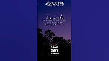 تلاوة خاشعة الشيخ ماهر المعيقلي  سورة نوح