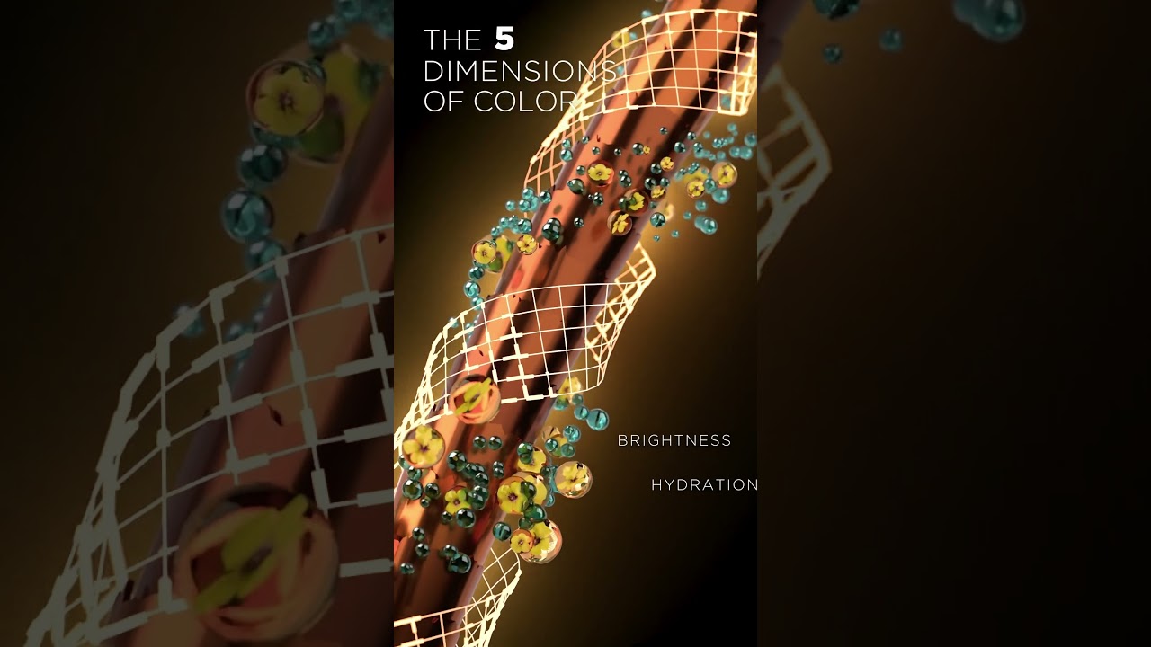 FRAMCOLOR Eclectic 5D Color Gloss Naturals / Hot Chocolates Try Me