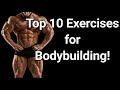 Top 10 Exercises for Bodybuilding! (Prepare Yourself for #6 & #10!)