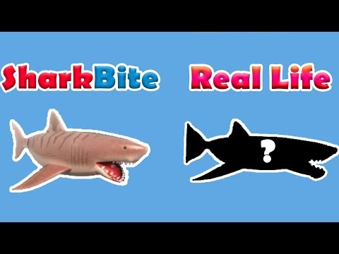 Every Boat Gun Shark And More In Real Life Roblox Sharkbite Youtube - buying the new megalodon in sharkbite update roblox youtube