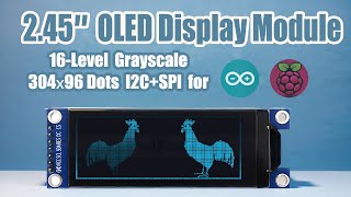 Blue 2.45 inch Grayscale OLED Display Module 304x96 Arduino