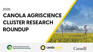 Canola AgriScience Cluster Research Roundup 2025