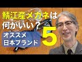 鯖江の高級メガネの魅力をプロが解説！ おしゃれな日本ブランドも紹介します アヤメ イエローズプラス