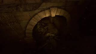 Scuba Zombool - Dying Light