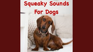 Sounds Dogs Love