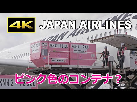 4K] ピンク色のコンテナ、あなたは見たことがありますか？ / 日本航空
