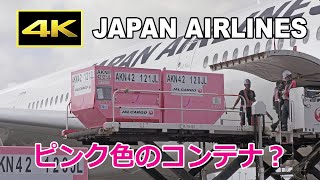 [4K] ピンク色のコンテナ、あなたは見たことがありますか？ / 日本航空 エアバス A350 羽田空港 / JAL Airbus A350 Tokyo Haneda Airport