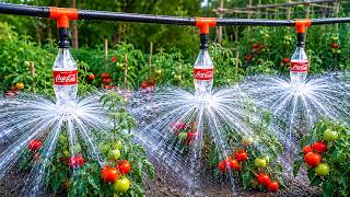 🚫 Stop throwing away empty Coca-Cola bottles! An idea millions of gardeners need to know!