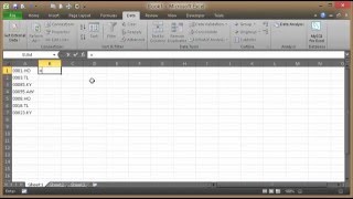 Sort by Last two Characters-Excel Help by XLorate Net Worth