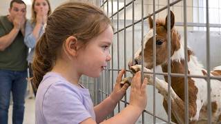 A Girl Who Couldn't Speak Found A Horse No One Wanted. What Happened Next Left Everyone Speechless