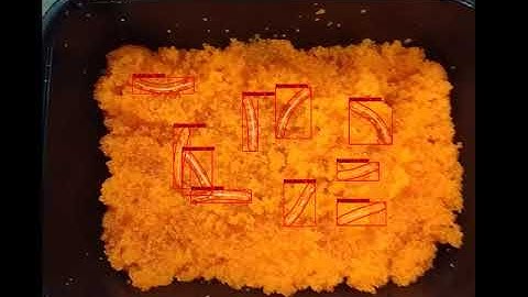 Seafood Inspection Using AR + AI | META-aivi