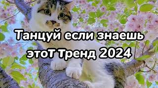 💗😈Танцуй Если Знаешь Этот Тренд🤩Тренды 2024Года😈💗