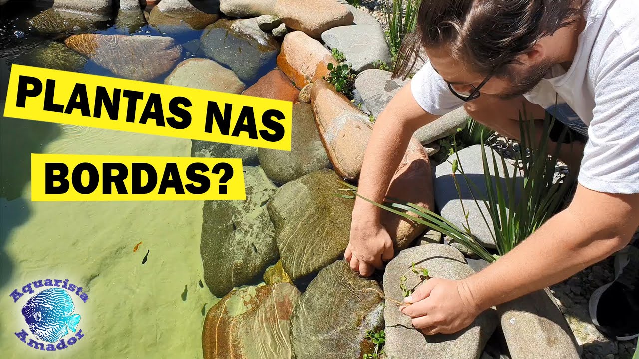 COLOQUEI PLANTAS NA BORDA DO LAGO E DEU RUIM!!!