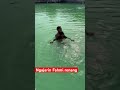 Ngajarin Fahmi renang #davidsunairi #minivlog #anakdesa