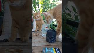 Su Soguksa Suyumuzu Ortak Içebiliriz 🥰😘