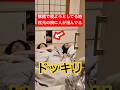 【ドッキリ】旅館で寝ようとしてるトミーの枕元に『いないはずの人』が潜んでいるドッキリ!#shorts