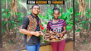 How a Nurse Started Her Greenhouse Snail and Vegetable Farm with GHS24000($1992.53) in Ghana #snail