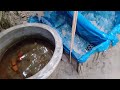খামারের আপডেট #fish #siam fishzone#fishaquarium