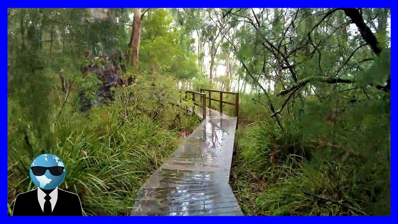 ad 🛩 Finding Tranquility - Exploring Lake Macquarie on a Zen Bushwalk, NSW Australia 🇦🇺
