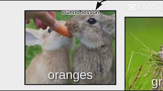 Buno lesson by Lucid Software credits to them