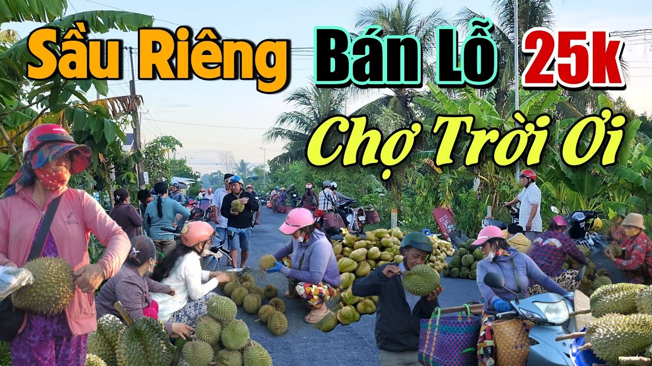 Miền Tây Sầu Riêng Đổ Đống Lề Đường Bán Lỗ 