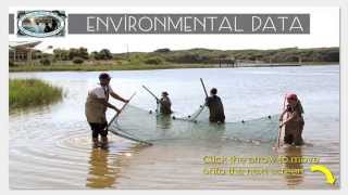 Environmental Parameters