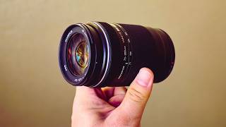 Best Budget Birding Lens For Micro Four Thirds