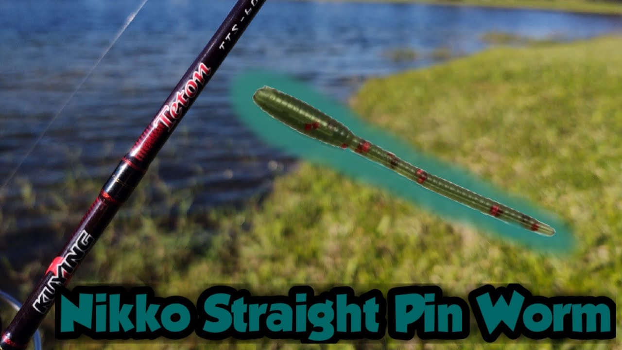 A delectable “Nikko Neko Rig” 😀: Nikko Ikanago Minnow 4.6” + BKK Predator  W.G. Hook Size Size 2 + X Zone Tungsten Pagoda Nail Si