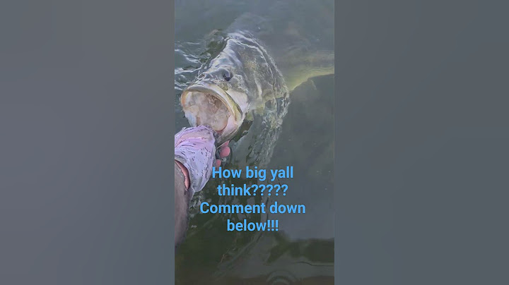 Big o bass!!!!!!!!!! catch and release!!! #fishing #bassfishing #shorts