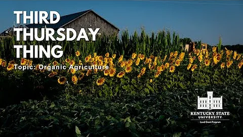 Third Thursday Thing | Organics