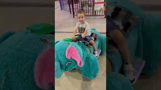 Deniz Fil Sürüyor Gibi Fil