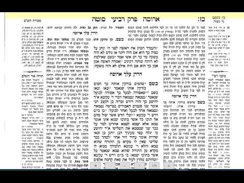 סוטה דף כח