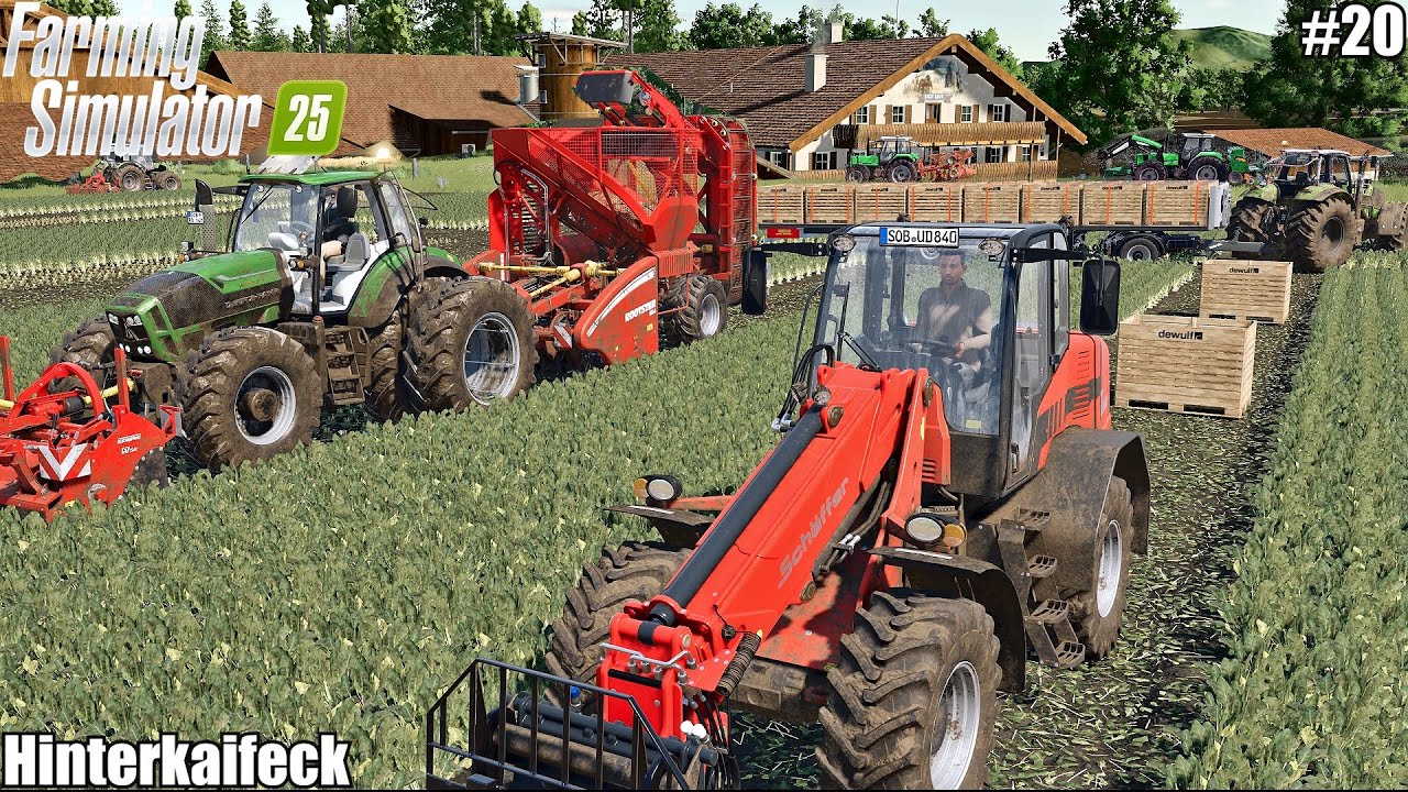 Сбор сахарной свеклы с помощью ящика для сбора росы | Хинтеркайфек | Farming Simulator 25 | 20