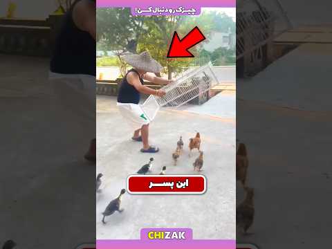 این مرد تله ای رو ساخته که هیچ راه خروجی نداره