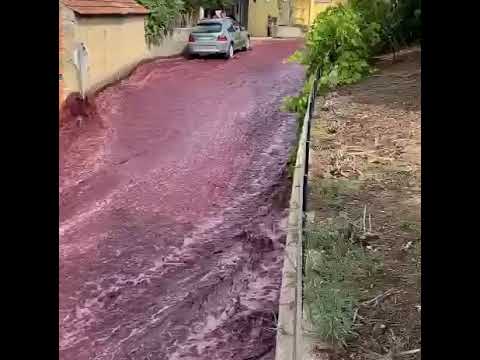 Anadia: Derramados dois milhões de litros de vinho na estrada