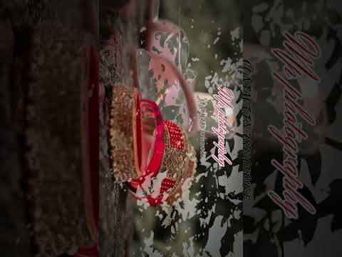 Https Www Instagram Com Reel DMZ 6b3pYUX Igsh MTVzZzhnMWpjb3g4dg 