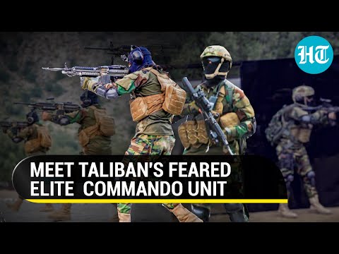 Badri-313: Meet Taliban's elite commando unit with modern military gear, American weapons